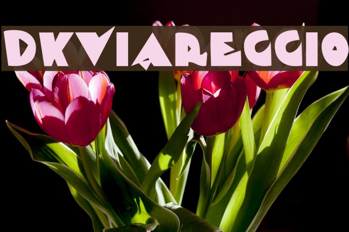 DKViareggio Font examples