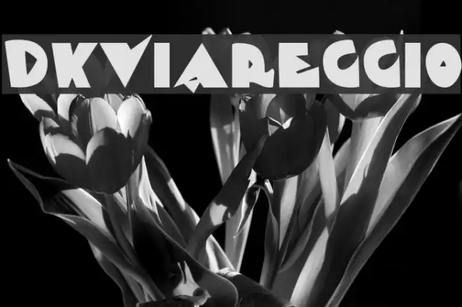 DKViareggio Example 2