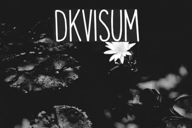 DKVisum Font examples
