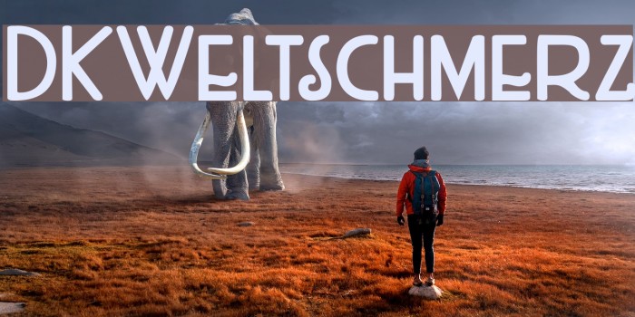 DKWeltschmerz Example 2