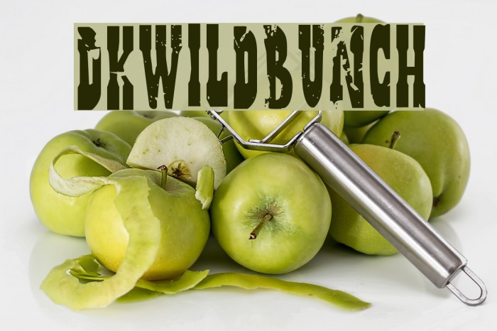 DKWildBunch Font examples