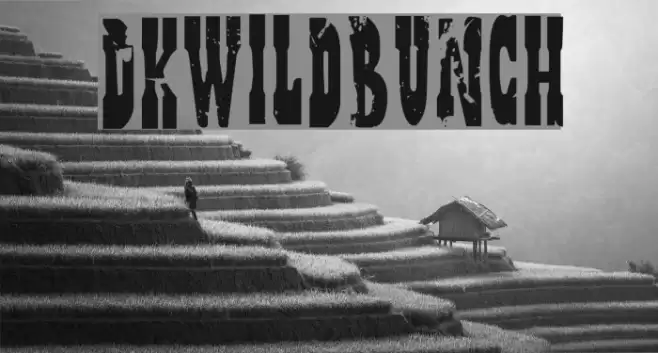 DKWildBunch Font examples