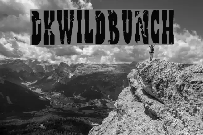 DKWildBunch Font examples