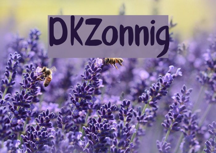 DKZonnig Polices examples