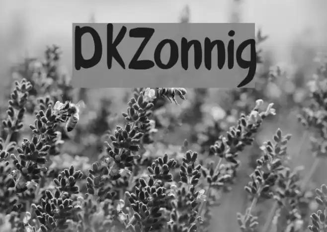 DKZonnig Font examples