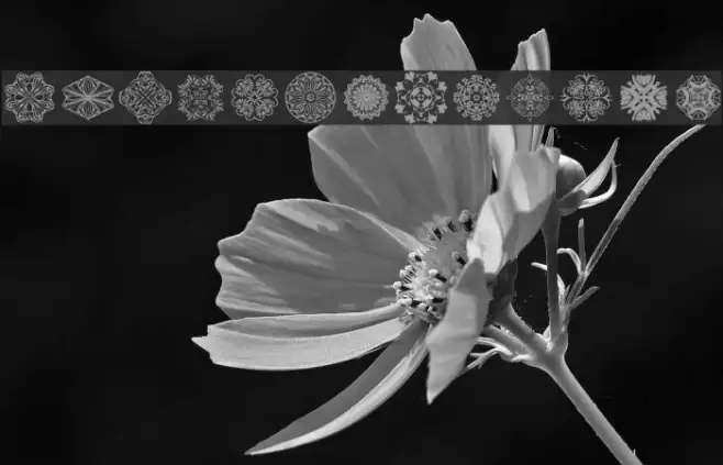 DLDesignsFour Example 1