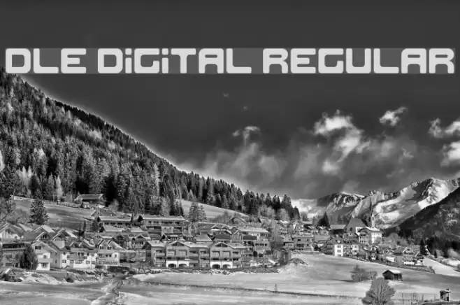 DLE Digital Regular Font examples