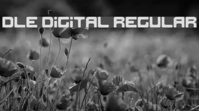 DLE Digital Regular Font examples