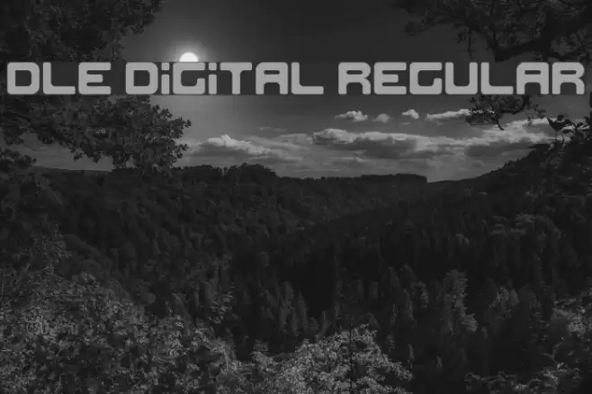 DLE Digital Regular Font examples