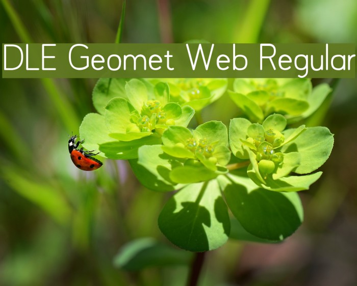 DLE Geomet Web Regular Font examples