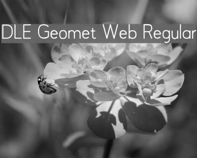 DLE Geomet Web Regular Example 1