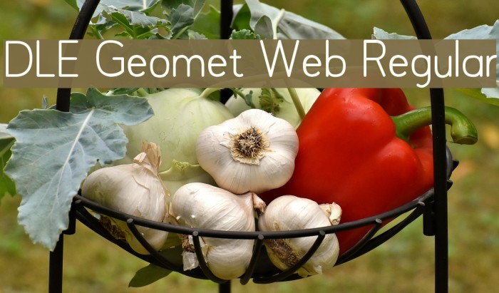 DLE Geomet Web Regular Font examples