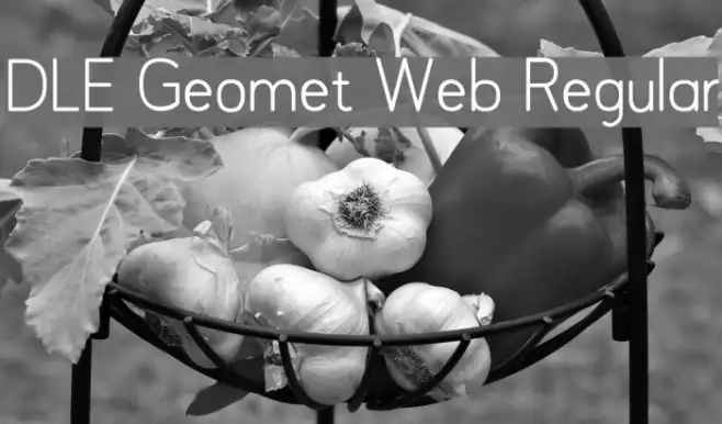 DLE Geomet Web Regular Example 2