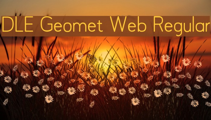 DLE Geomet Web Regular Font examples