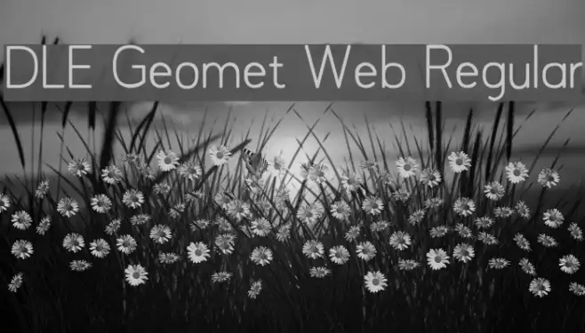 DLE Geomet Web Regular Example 3