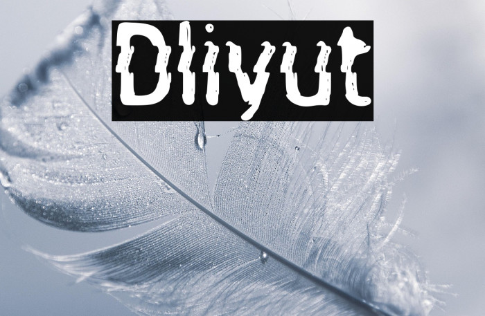 Dliyut Example 1