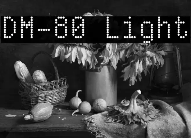 DM-80 Light Example 2