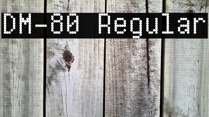 DM-80 Regular Example 2