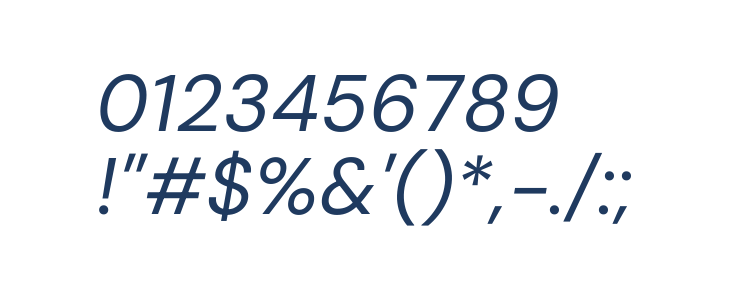 DM Sans 9pt Italic Other Characters