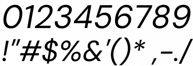 DM Sans 9pt Italic Polices AUTRES CHARS