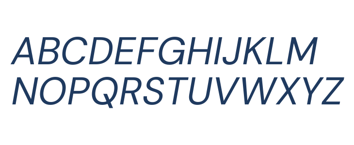 DM Sans 9pt Italic Uppercase