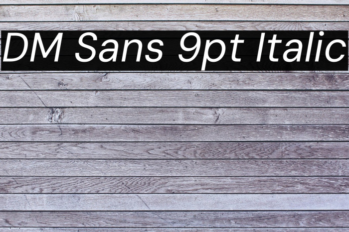 DM Sans 9pt Italic Example 1