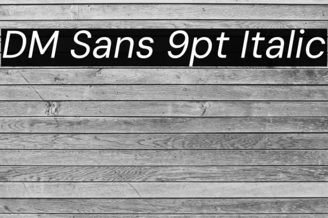 DM Sans 9pt Italic 字体 examples