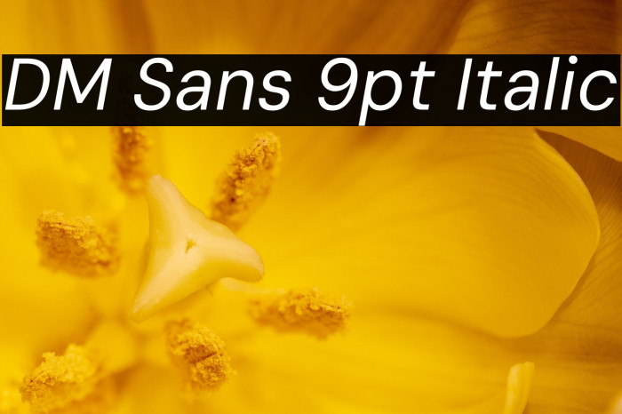 DM Sans 9pt Italic Example 2