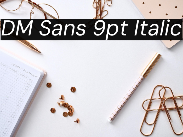DM Sans 9pt Italic Example 3