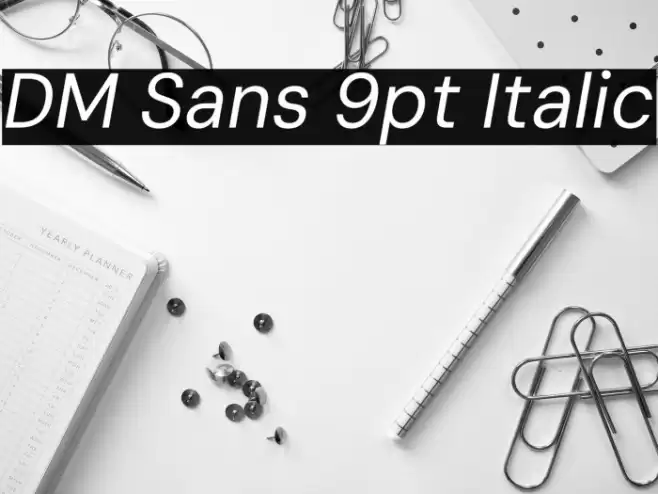 DM Sans 9pt Italic 字体 examples