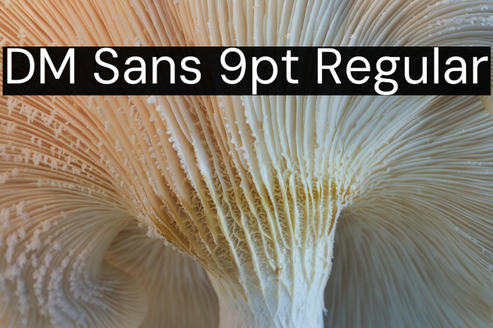 DM Sans 9pt Regular Example 1