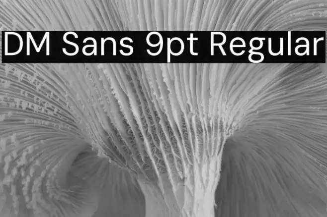 DM Sans 9pt Regular フォント examples