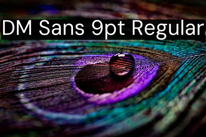 DM Sans 9pt Regular Example 2