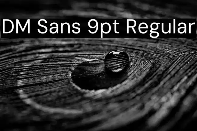 DM Sans 9pt Regular フォント examples