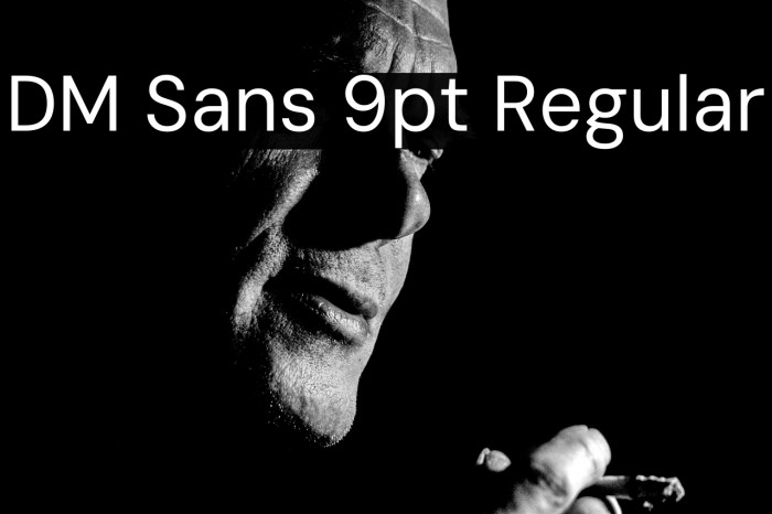 DM Sans 9pt Regular Example 3