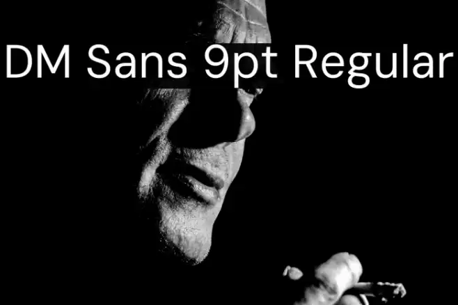 DM Sans 9pt Regular フォント examples