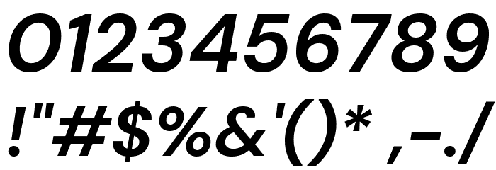 DM Sans Bold Italic Font OTHER CHARS