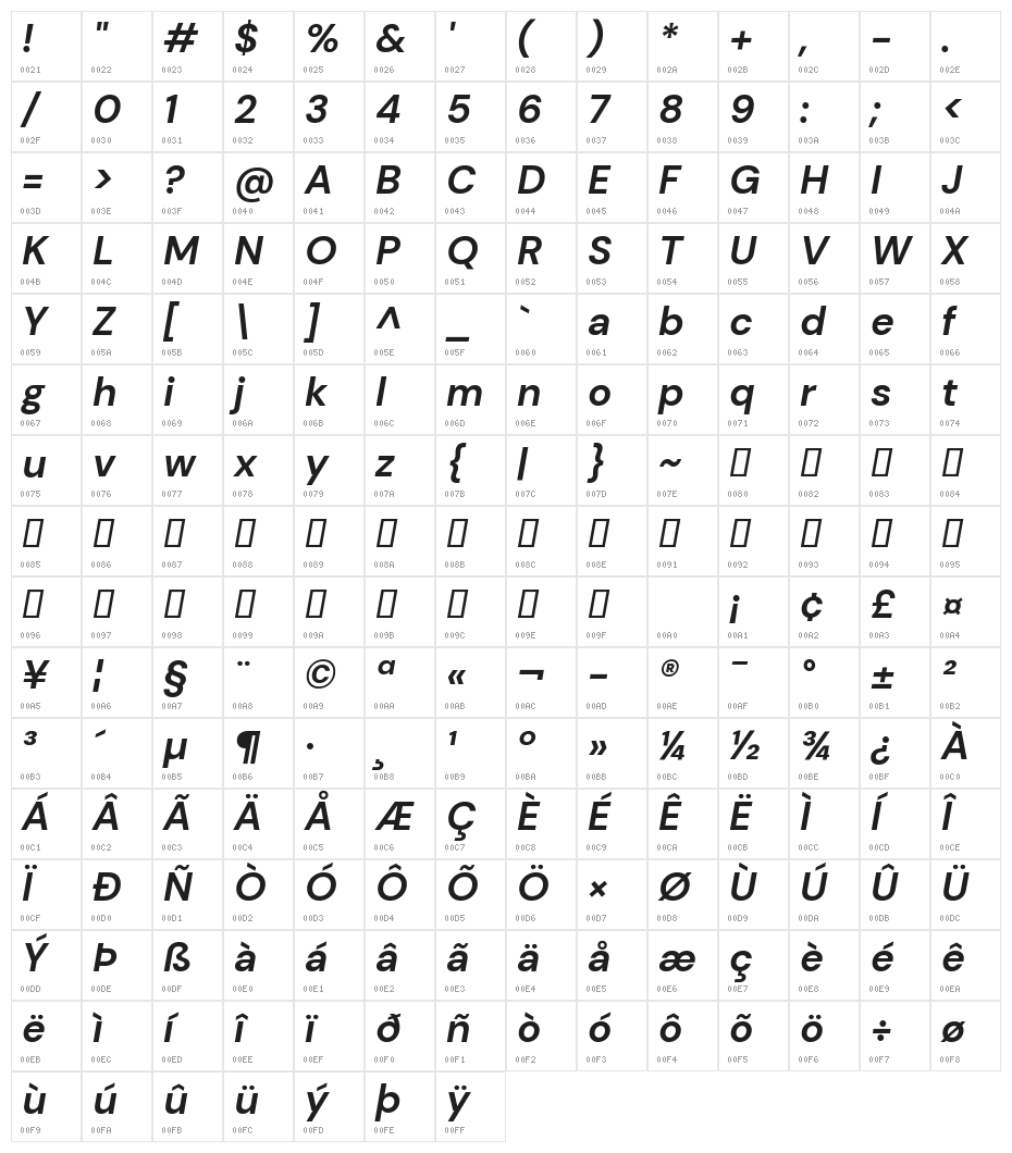 DM Sans Bold Italic Character Map