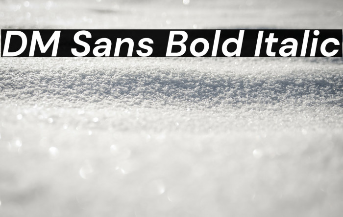 DM Sans Bold Italic Font examples