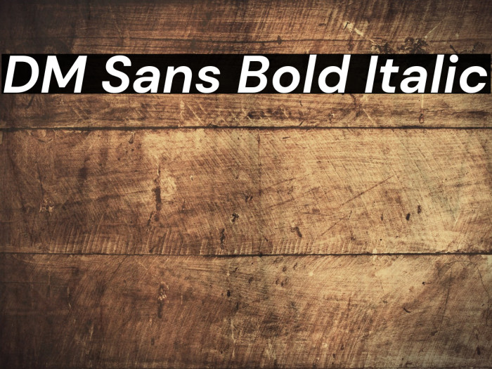 DM Sans Bold Italic Font examples