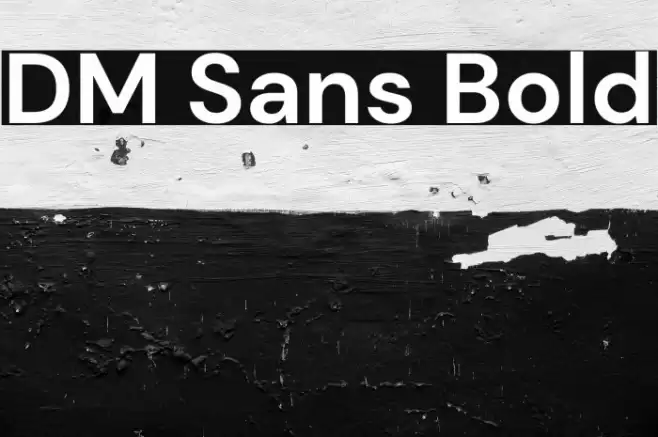 DM Sans Bold Font examples