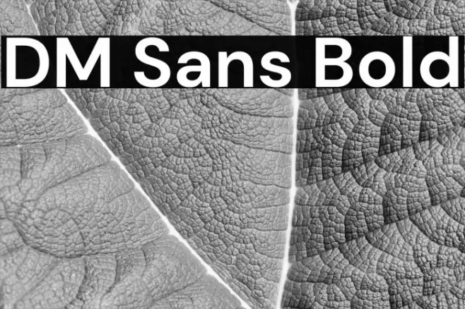 DM Sans Bold Font examples