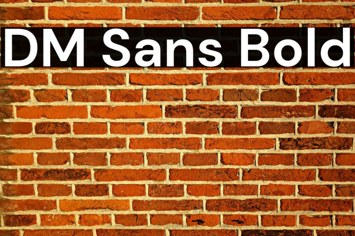DM Sans Bold Font examples