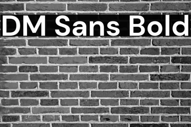 DM Sans Bold Font examples
