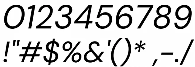 DM Sans Italic Font OTHER CHARS