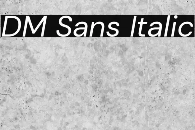 DM Sans Italic Font examples