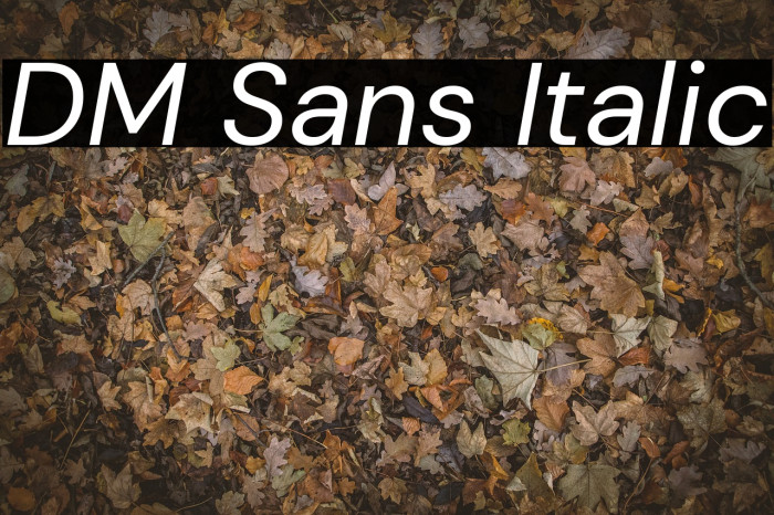 DM Sans Italic Font examples