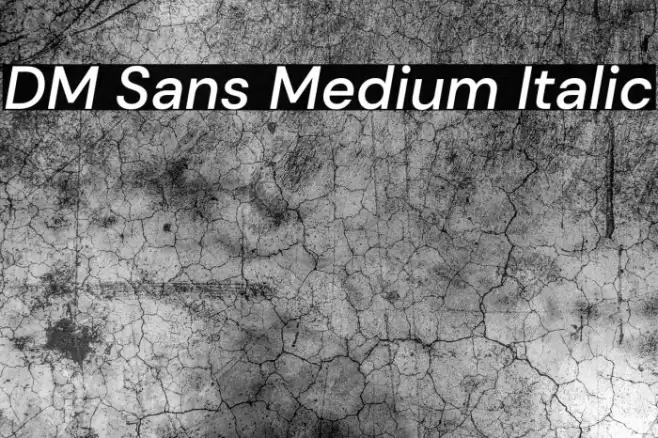 DM Sans Medium Italic Font examples