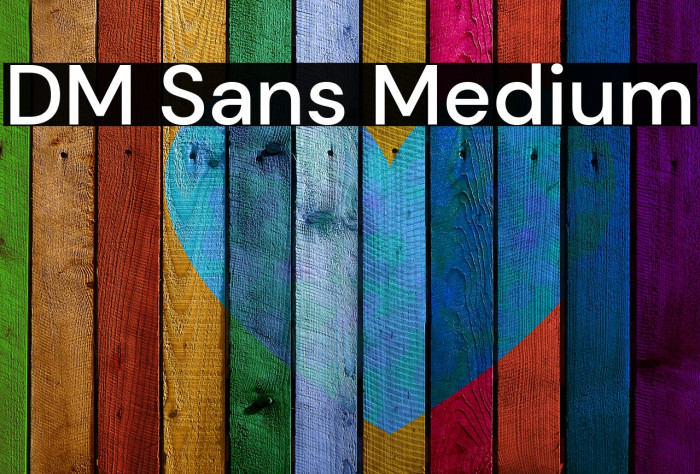 DM Sans Medium Font examples