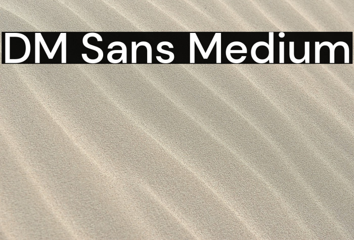 DM Sans Medium Font examples